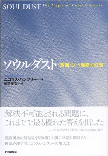 『ソウルダスト――〈意識〉という魅惑の幻想』