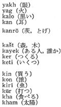 ヨーロッパで使われているジプシー語