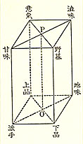 趣味の直六面体