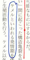 「ケメルといわれる発情期」