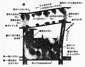 犬地図〈嗅覚の時空領域の研究〉