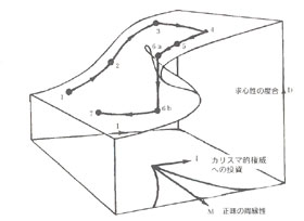 システムの崩壊のカスプカタストロフィー・モデル