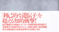 『自己組織化と進化の論理』帯